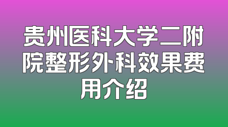 贵州医科大学二附院整形外科效果费用介绍