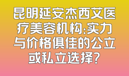 昆明延安杰西艾医疗美容机构：实力与价格俱佳的公立或私立选择？