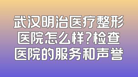 武汉明治医疗整形医院怎么样？检查医院的服务和声誉