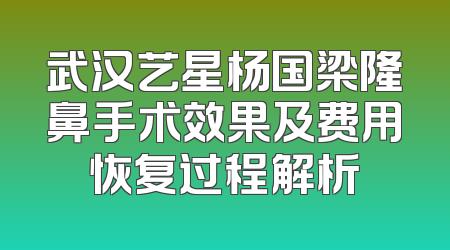 武汉艺星杨国梁隆鼻手术效果及费用恢复过程解析