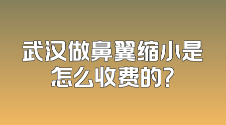 武汉做鼻翼缩小是怎么收费的？