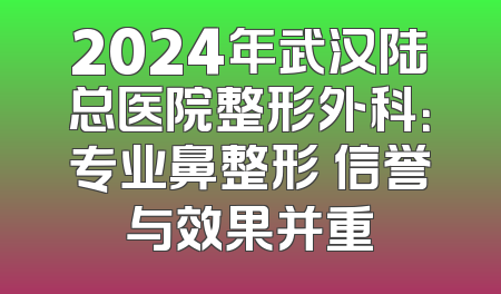 2024年武汉陆总医院整形外科：专业鼻整形 信誉与效果并重