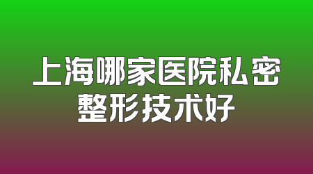 上海哪家医院私密整形技术好