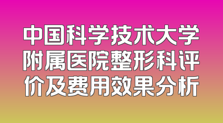 中国科学技术大学附属医院整形科评价及费用效果分析