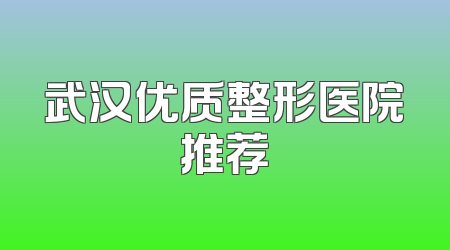 武汉优质整形医院推荐
