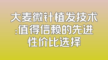 大麦微针植发技术：值得信赖的先进性价比选择