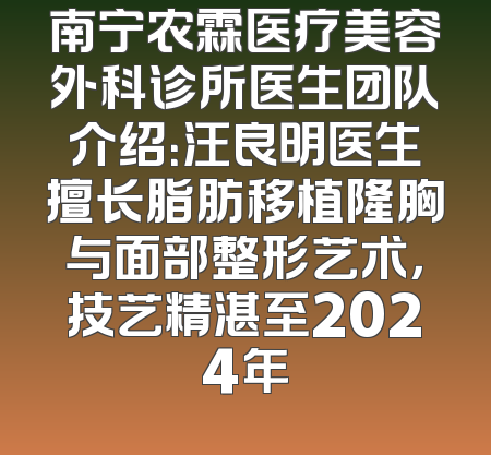 南宁农霖医疗美容外科诊所医生团队介绍：汪良明医生擅长脂肪移植隆胸与面部整形艺术，技艺精湛至2024年