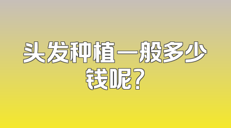 头发种植一般多少钱呢?