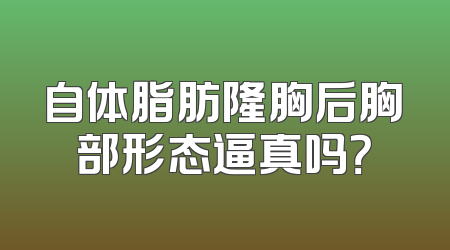 自体脂肪隆胸后胸部形态逼真吗？