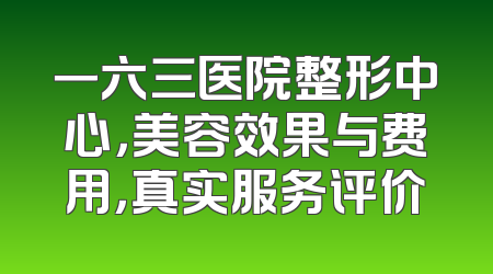 一六三医院整形中心，美容效果与费用，真实服务评价
