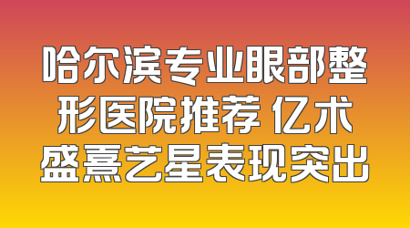 哈尔滨专业眼部整形医院推荐 亿术盛熹艺星表现突出