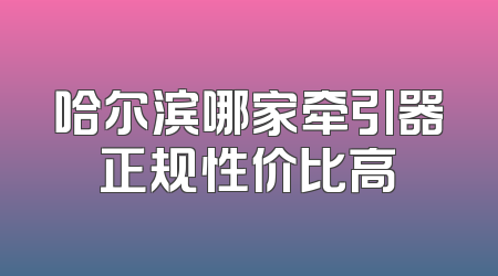哈尔滨哪家牵引器正规性价比高