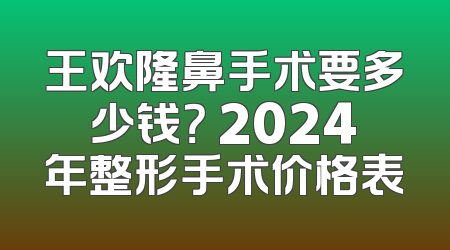 王欢隆鼻手术要多少钱？ 2024年整形手术价格表