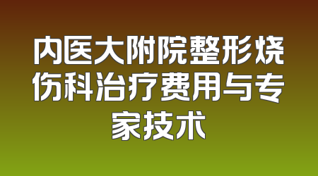 内医大附院整形烧伤科治疗费用与专家技术