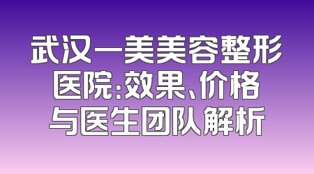 武汉一美美容整形医院：效果、价格与医生团队解析
