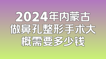 2024年内蒙古做鼻孔整形手术大概需要多少钱