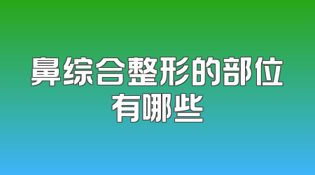 鼻综合整形的部位有哪些