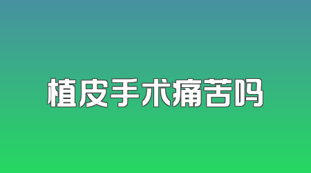 植皮手术痛苦吗
