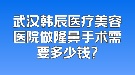 武汉韩辰医疗美容医院做隆鼻手术需要多少钱？