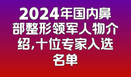 2024年国内鼻部整形领军人物介绍，十位专家入选名单