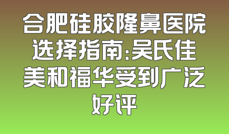合肥硅胶隆鼻医院选择指南：吴氏佳美和福华受到广泛好评
