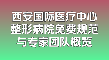 西安国际医疗中心整形病院免费规范与专家团队概览