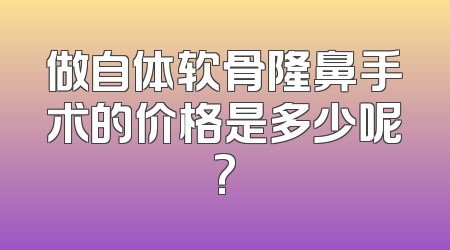 做自体软骨隆鼻手术的价格是多少呢?