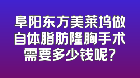 阜阳东方美莱坞做自体脂肪隆胸手术需要多少钱呢？