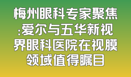梅州眼科专家聚焦：爱尔与五华新视界眼科医院在视膜领域值得瞩目