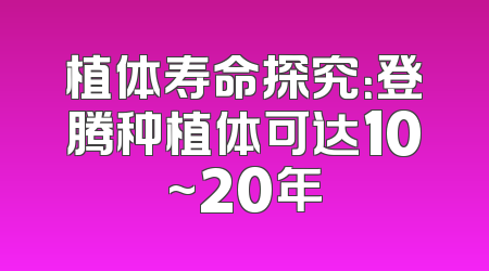 植体寿命探究：登腾种植体可达10~20年