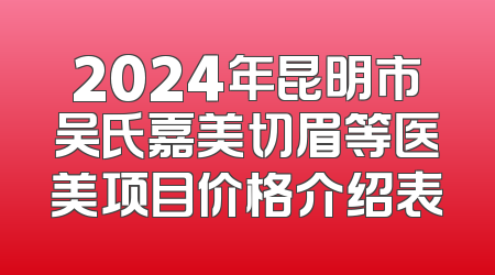 2024年昆明市吴氏嘉美切眉等医美项目价格介绍表