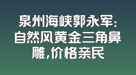 泉州海峡郭永军：自然风黄金三角鼻雕，价格亲民