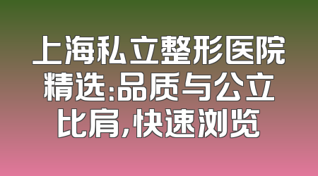 上海私立整形医院精选：品质与公立比肩，快速浏览