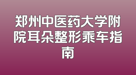 郑州中医药大学附院耳朵整形乘车指南
