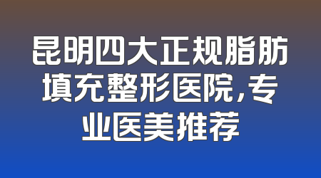 昆明四大正规脂肪填充整形医院，专业医美推荐