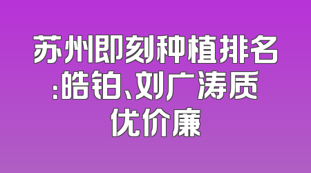 苏州即刻种植排名：皓铂、刘广涛质优价廉