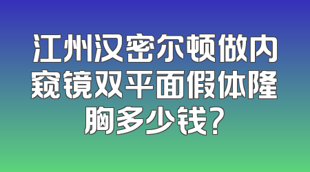 江州汉密尔顿做内窥镜双平面假体隆胸多少钱？