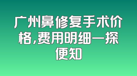 广州鼻修复手术价格，费用明细一探便知