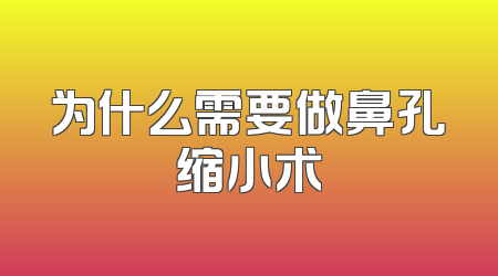 为什么需要做鼻孔缩小术