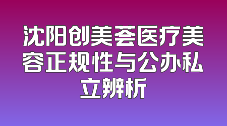 沈阳创美荟医疗美容正规性与公办私立辨析