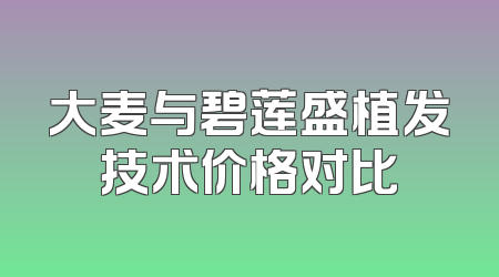 大麦与碧莲盛植发技术价格对比