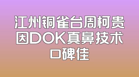 江州铜雀台周柯贵因DOK真鼻技术口碑佳