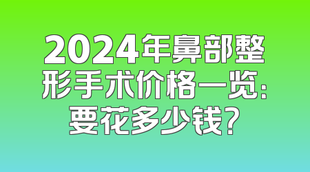 2024年鼻部整形手术价格一览：要花多少钱？