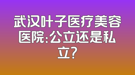 武汉叶子医疗美容医院：公立还是私立？