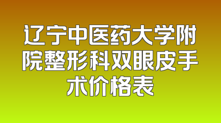 辽宁中医药大学附院整形科双眼皮手术价格表