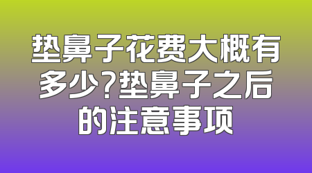 垫鼻子花费大概有多少？垫鼻子之后的注意事项