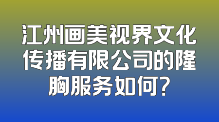 江州画美视界文化传播有限公司的隆胸服务如何？