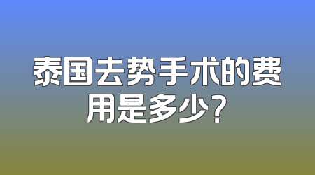 泰国去势手术的费用是多少？
