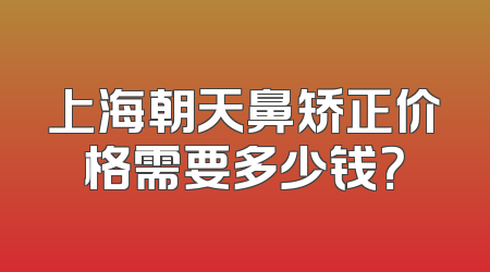 上海朝天鼻矫正价格需要多少钱？