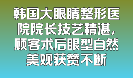 韩国大眼睛整形医院院长技艺精湛，顾客术后眼型自然美观获赞不断